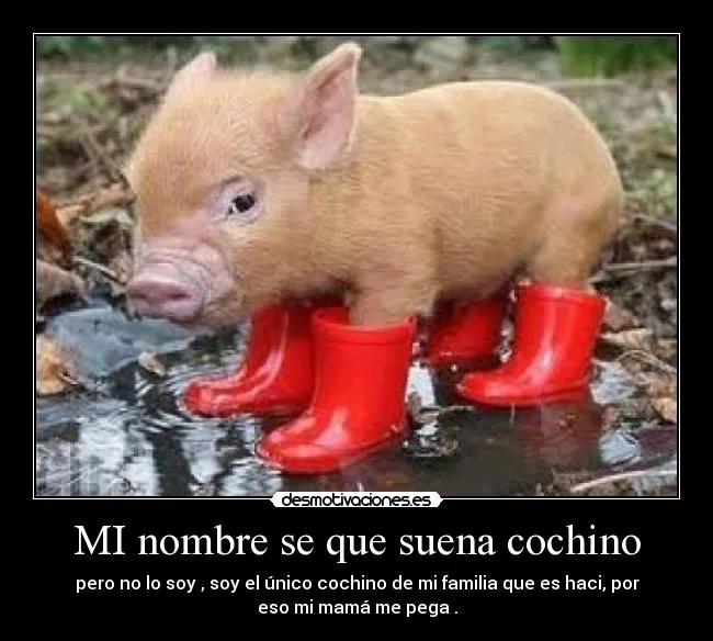 MI nombre se que suena cochino | Desmotivaciones