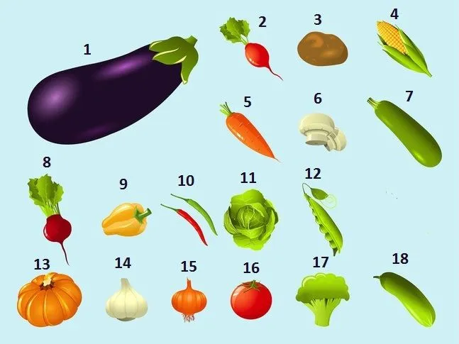 Nombres de 15 verduras - Imagui