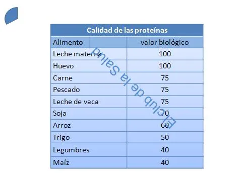 Nombres de alimentos de origen animal - Imagui