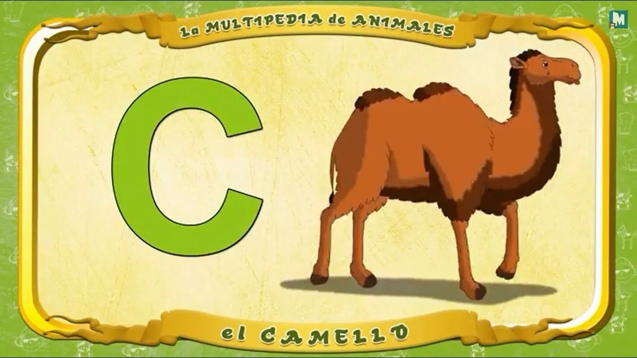 Todos los NOMBRES DE ANIMALES que empiezan por la letra C Todos los NOMBRES DE ANIMALES que empiezan por la letra C