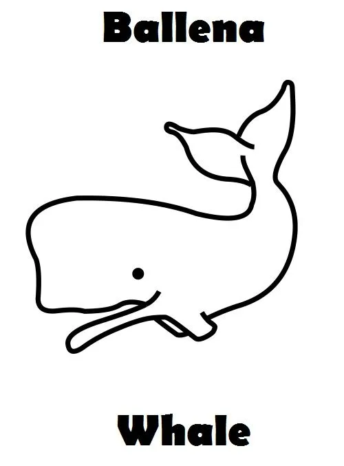SGBlogosfera. María José Argüeso: COLOREAMOS ANIMALES EN INGLÉS