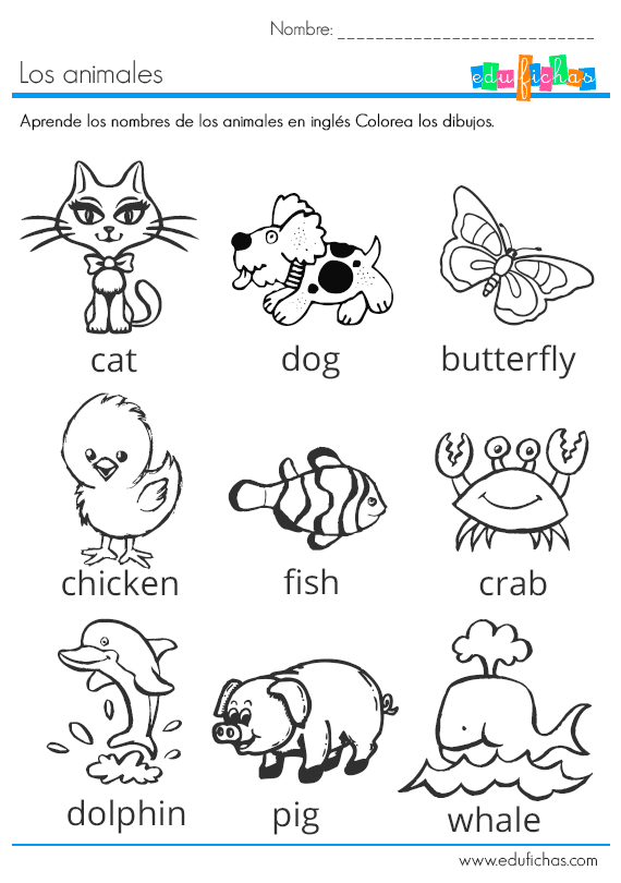 Nombres de Animales en inglés? con Imágenes - Para niños