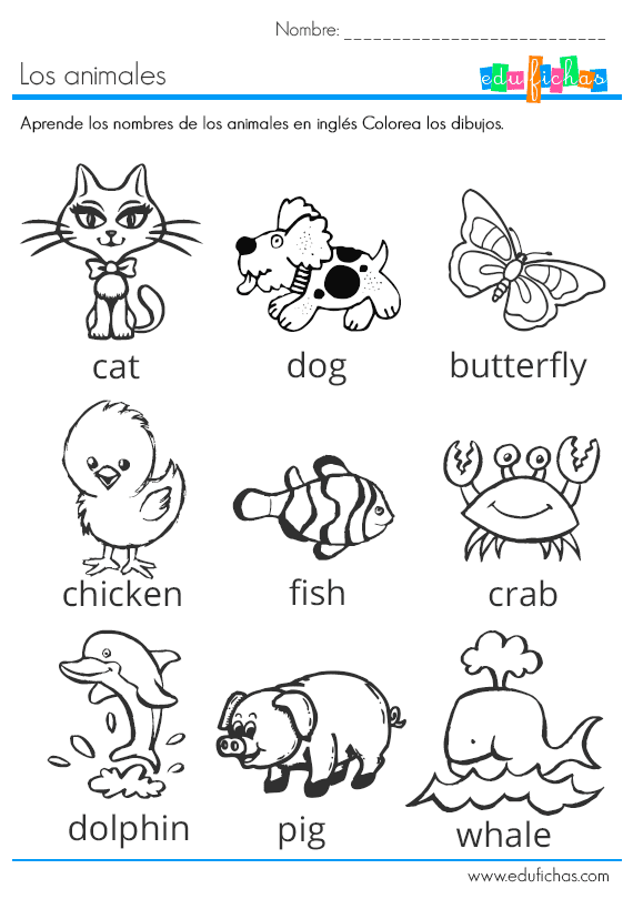Nombres de Animales en inglés? con Imágenes - Para niños Nombres de Animales en inglés? con Imágenes - Para niños