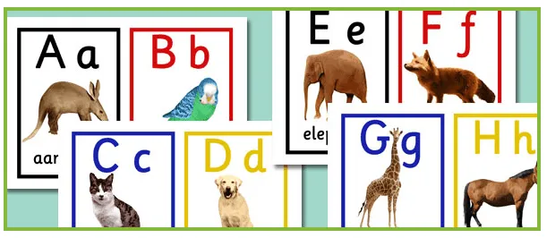 Nombres de animales con la letra y - Imagui