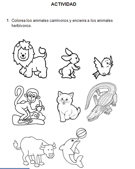 Animales omnivoro, herbívoros y carnívoros para colorear - Imagui