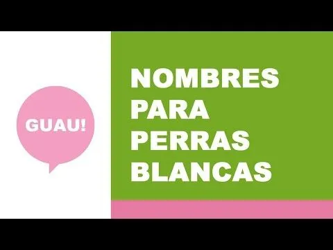Nombres para perras de color blanco - YouTube Nombres para perras de color blanco - YouTube