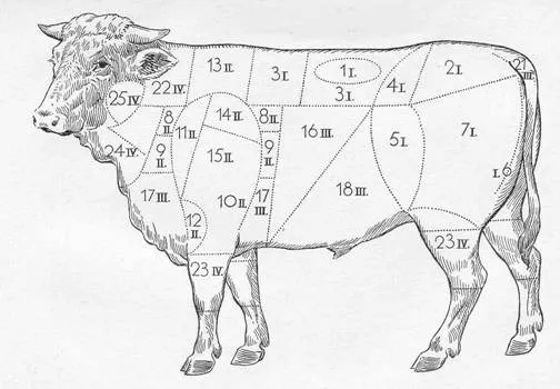 Los nombres de las piezas de vaca en checo (checo para superstars ... Los nombres de las piezas de vaca en checo (checo para superstars ...