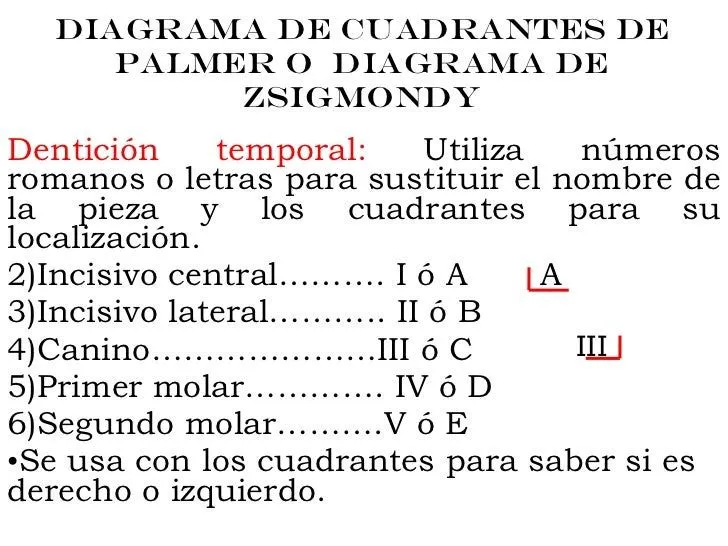 nomenclatura-dentaria-6-728. ...