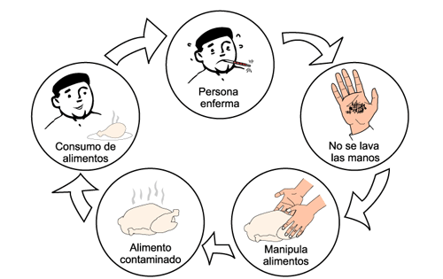 Normas de Higiene: Personal, Utensilios y Equipos de la Empresa ...