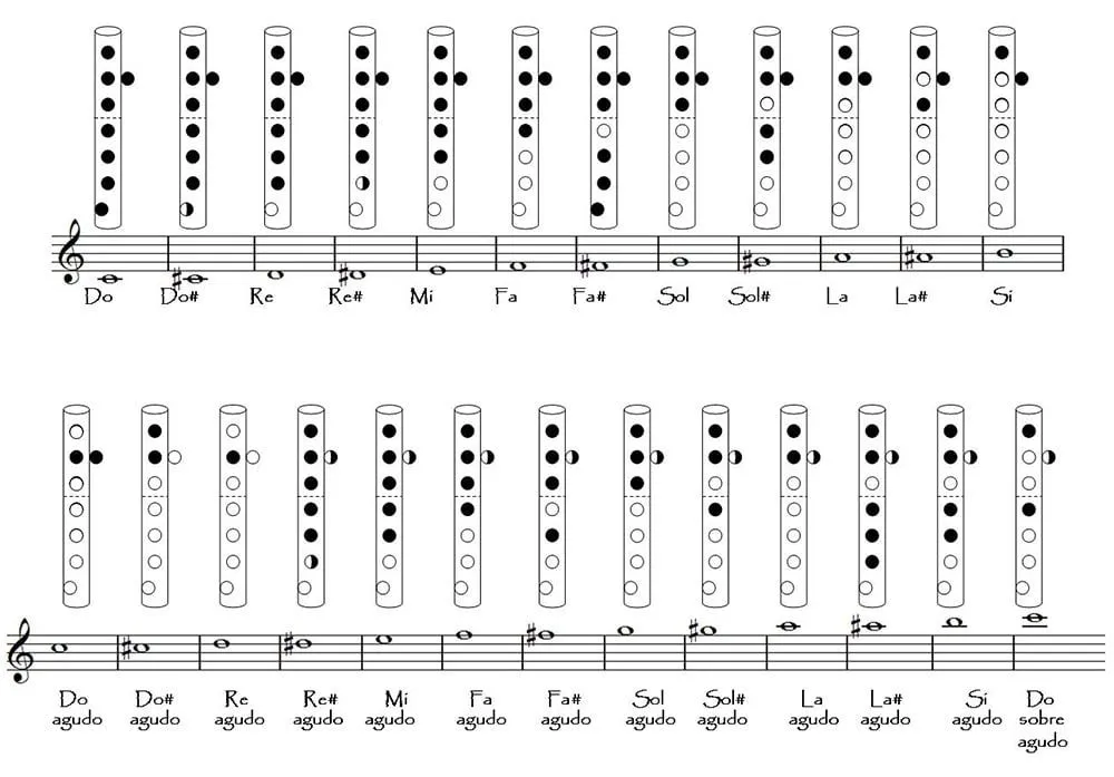 Las notas musicales de la flauta - Dice la canción Las notas musicales de la flauta - Dice la canción