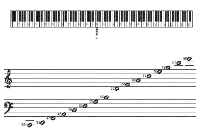 Las notas musicales :: PianoRed.com
