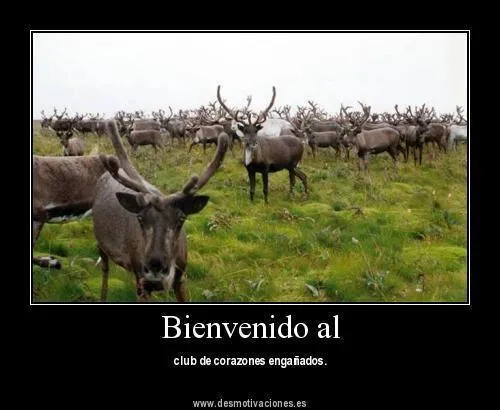 Noti Bicimotos: Pensamientos e Imagenes Divertidas..!!!