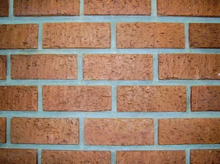 Noticias Curiosas: noviembre 2010