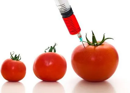 Alimentos transgenicos dibujos para colorear - Imagui Alimentos transgenicos dibujos para colorear - Imagui