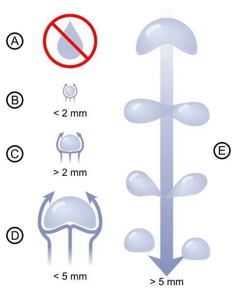 noticias eltiempo.tv | Otro blog más de WordPress | Página 2