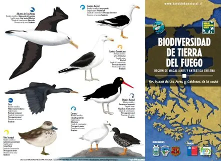 Noticias Karukinka: febrero 2012