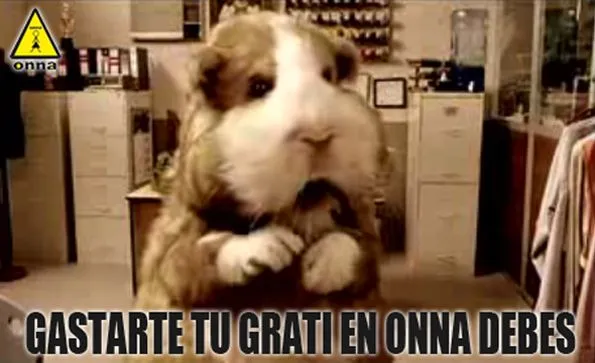 Noticias - ONNA perú