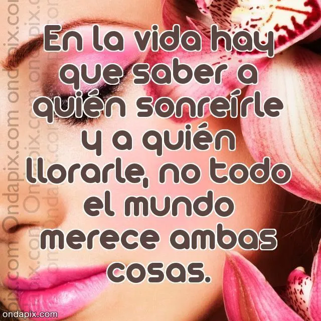 Notitas Notitas