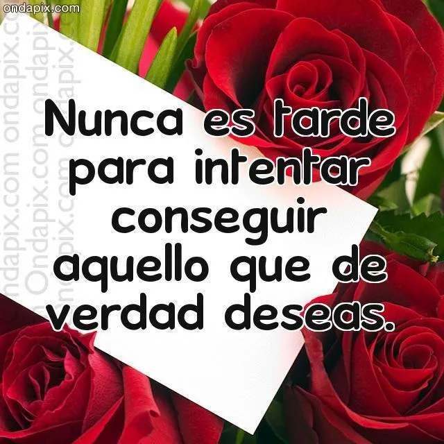 Notitas Notitas
