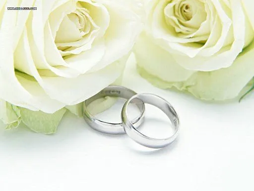 NOVIAS 2010 III (pág. 192) | Preparar tu boda es facilisimo.com
