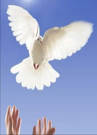 noviembre | 2008 | Reflexiones Diarias noviembre | 2008 | Reflexiones Diarias