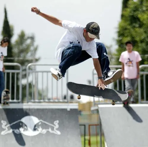 noviembre | 2010 | El Skate mundial