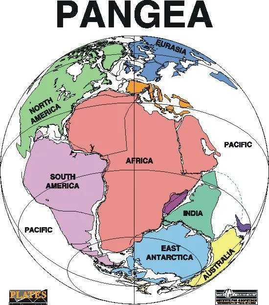 noviembre | 2011 | the paradise
