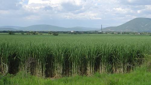 noviembre | 2012 | Café Mezclado