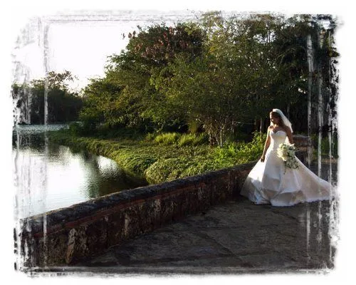 Los novios mirandose, ella sentada, él de pie. Los novios mirandose, ella sentada, él de pie.