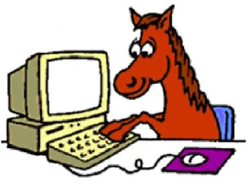 NTICS II-WEB II