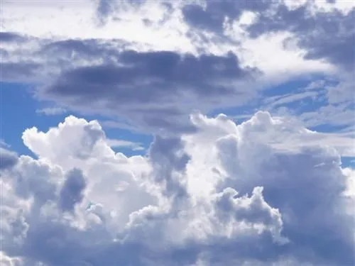 Nuages Related Keywords & Suggestions - Nuages Long Tail Keywords Nuages Related Keywords & Suggestions - Nuages Long Tail Keywords