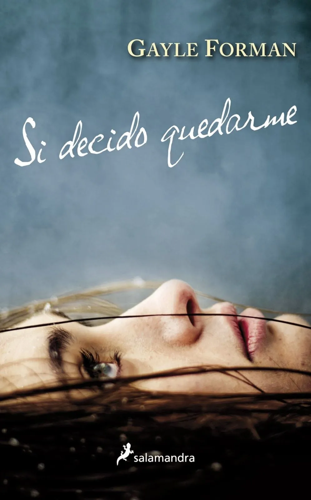 Nube de Frases: Si decido quedarme