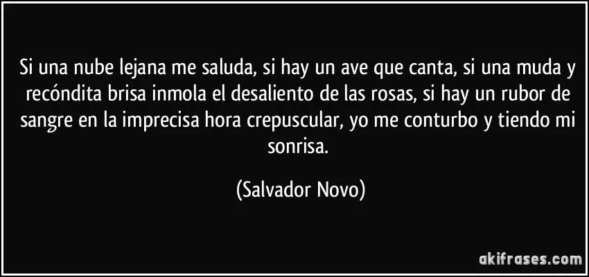 Si una nube lejana me saluda, si hay un ave que canta, si una... Si una nube lejana me saluda, si hay un ave que canta, si una...