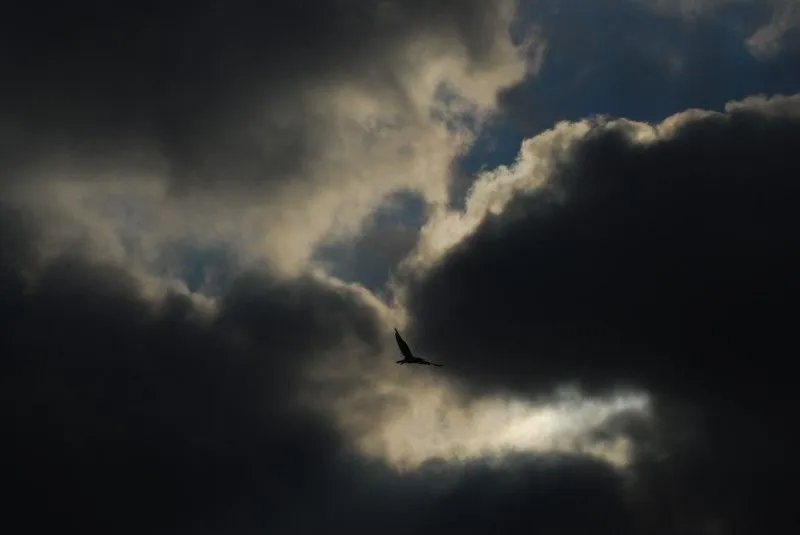 Nubes | Fotografías Bruno Rico