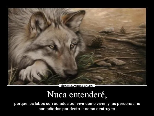 Nuca entenderé, | Desmotivaciones