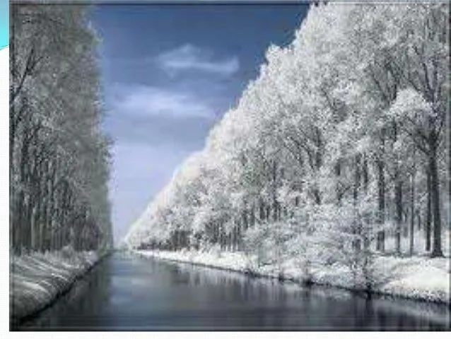 nuestro-paisaje-en-invierno-2- ...