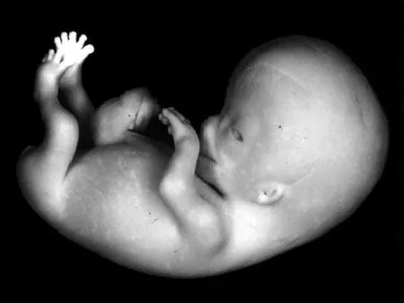 NUEVE LUNAS: septiembre 2011