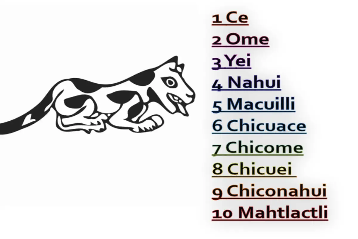 NÚMEROS NÁHUATL » Un sistema contable vinculado a su lengua NÚMEROS NÁHUATL » Un sistema contable vinculado a su lengua