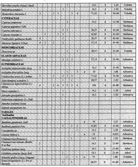 Numeros romanos del 290 al 1000 - Imagui