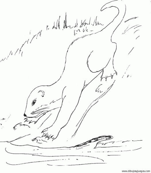 nutria-03 | Dibujos y juegos, para pintar y colorear nutria-03 | Dibujos y juegos, para pintar y colorear