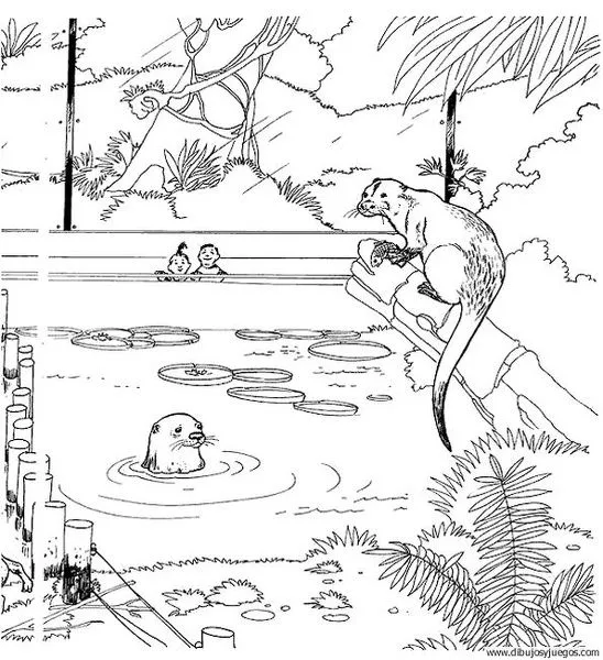 nutria-04 | Dibujos y juegos, para pintar y colorear nutria-04 | Dibujos y juegos, para pintar y colorear