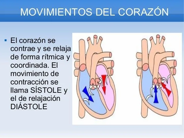 La Nutrición Humana