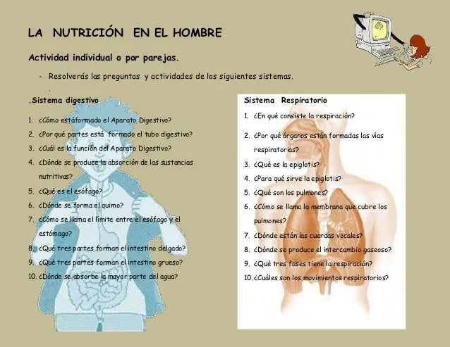 La nutrición en el ser humano. Cuestionario individual