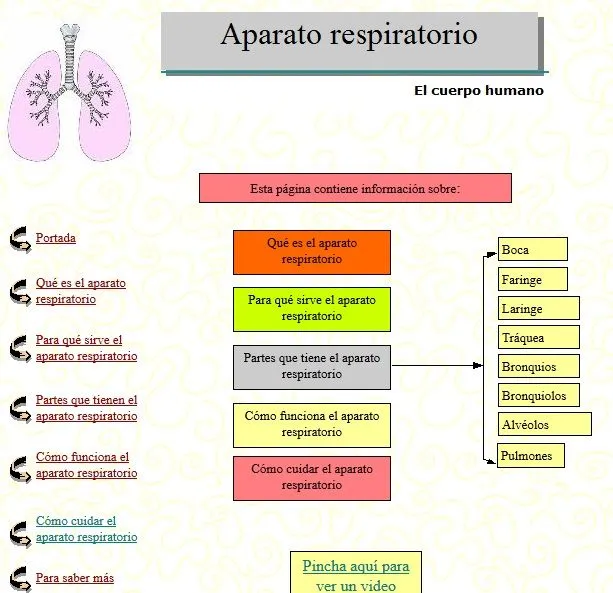 La Nutrición II: aparato respiratorio, circulatorio y excretor ... La Nutrición II: aparato respiratorio, circulatorio y excretor ...