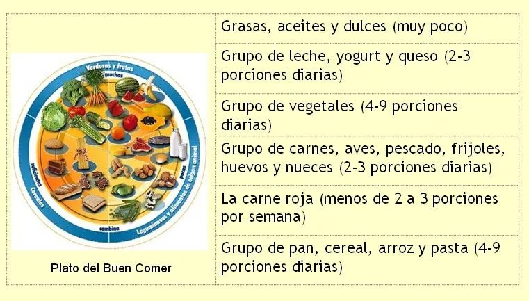 Plato del buen comer para niños - Imagui