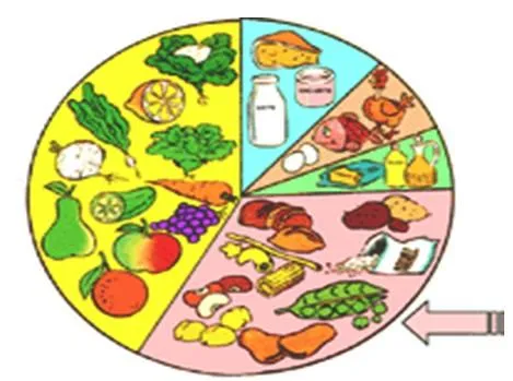 Imagen de los alimentos constructores - Imagui Imagen de los alimentos constructores - Imagui