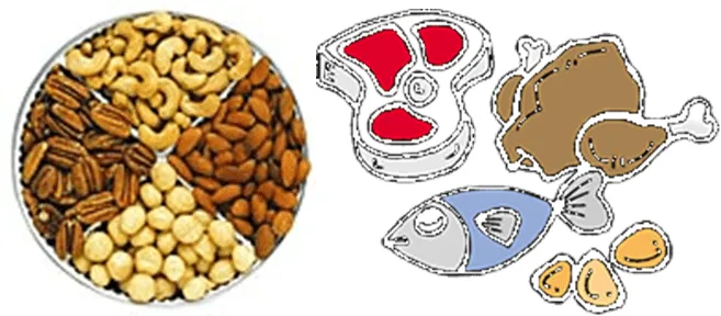 Nutrición: El Plato de Bien comer.