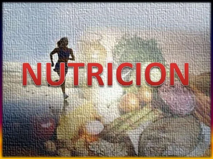 Nutricion y salud