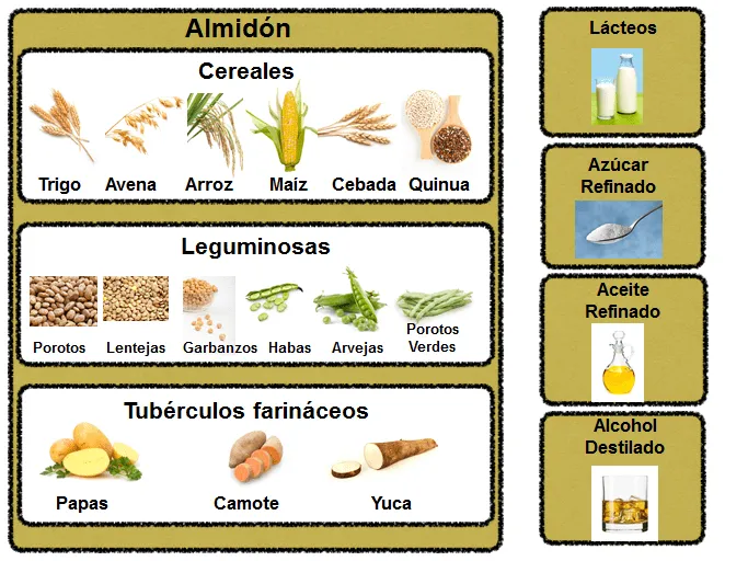 Nuevos | NutriOptimus