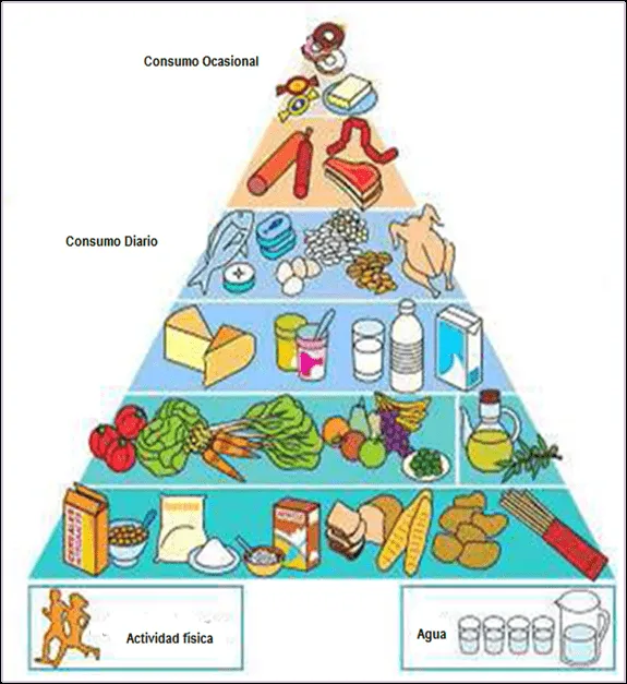 nutriweb-gp: Capitulo II: parte 1